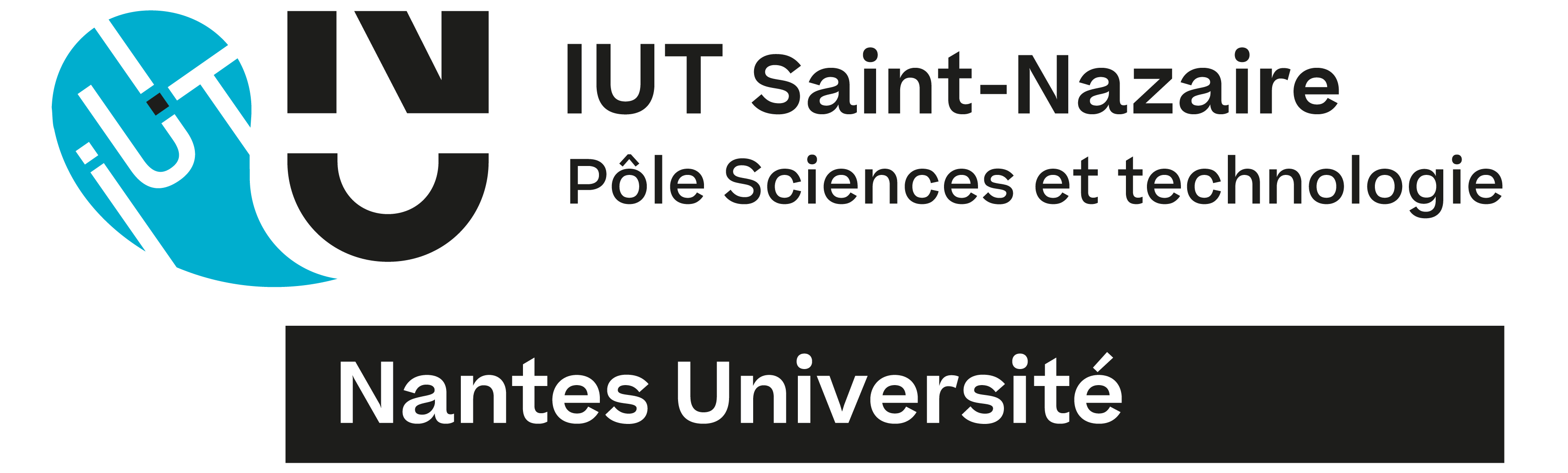 Logo IUT Saint-Nazaire